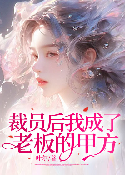 裁员后我成了老板的甲方