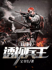 山村透视兵王